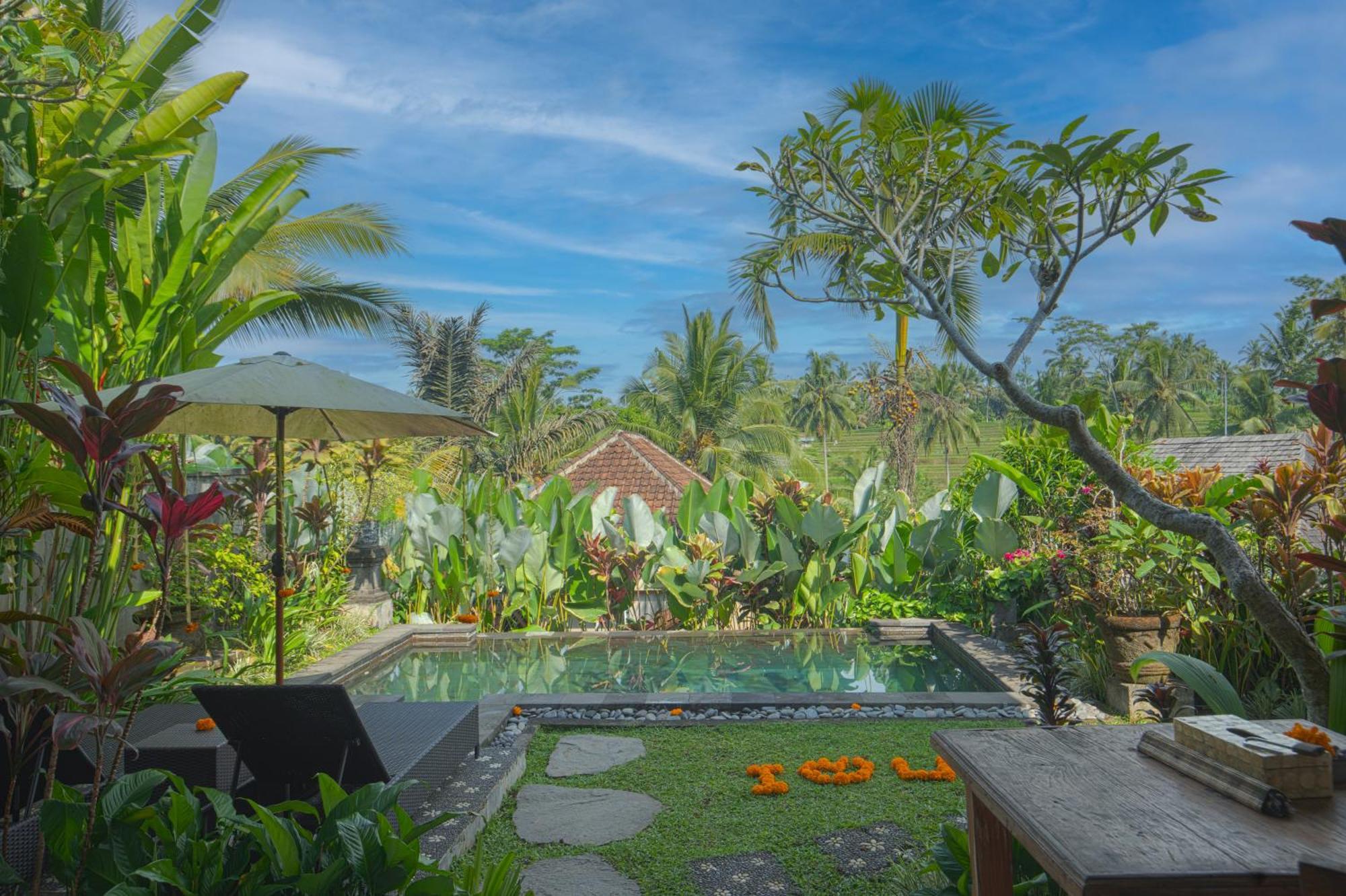 Taluh Bebek Ubud Private Villas Εξωτερικό φωτογραφία